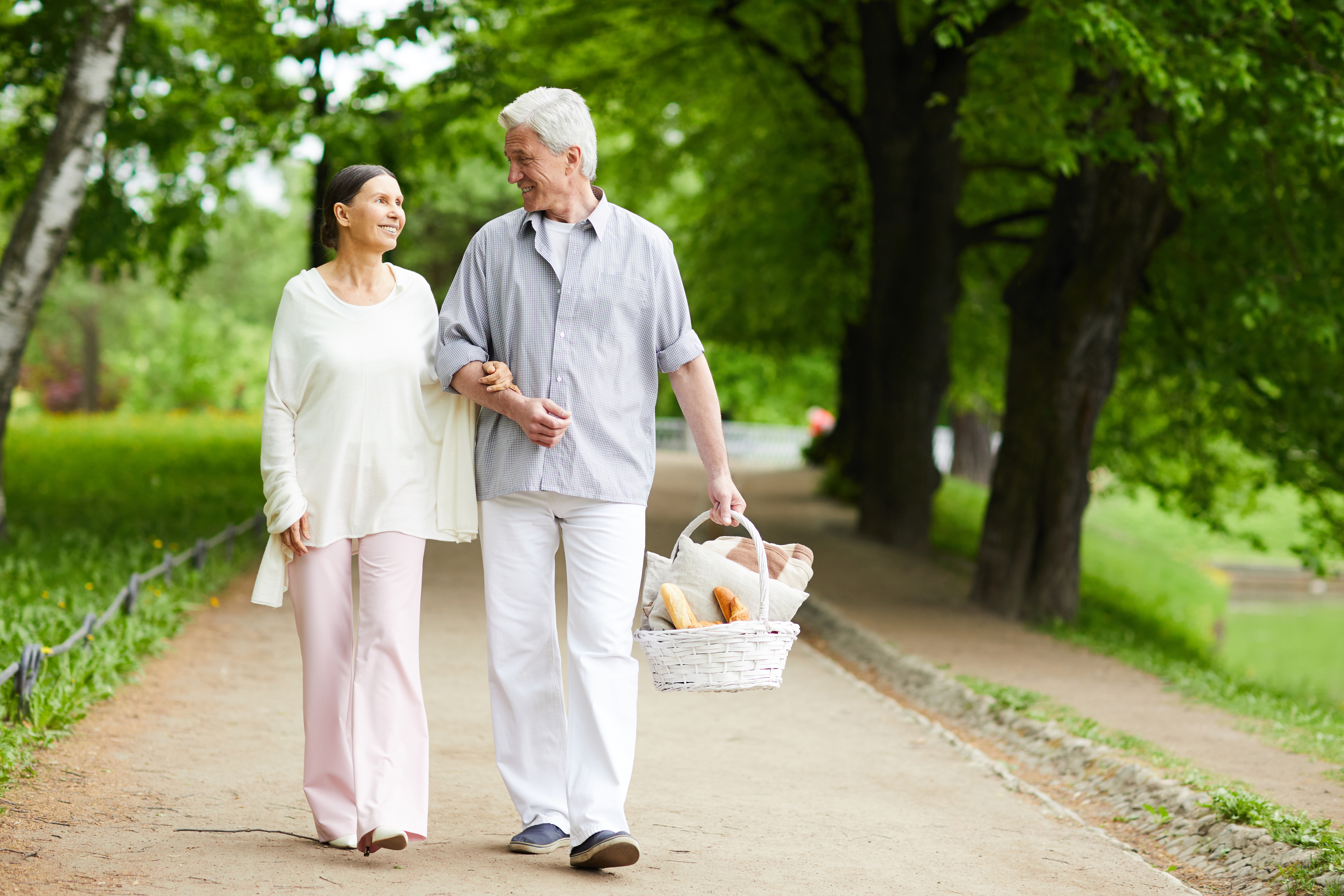 seniors-going-for-picnic-BCVWN3F